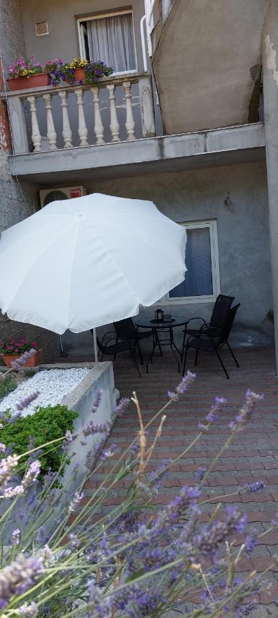 Apartman Marin - Zadar Exteriér fotografie